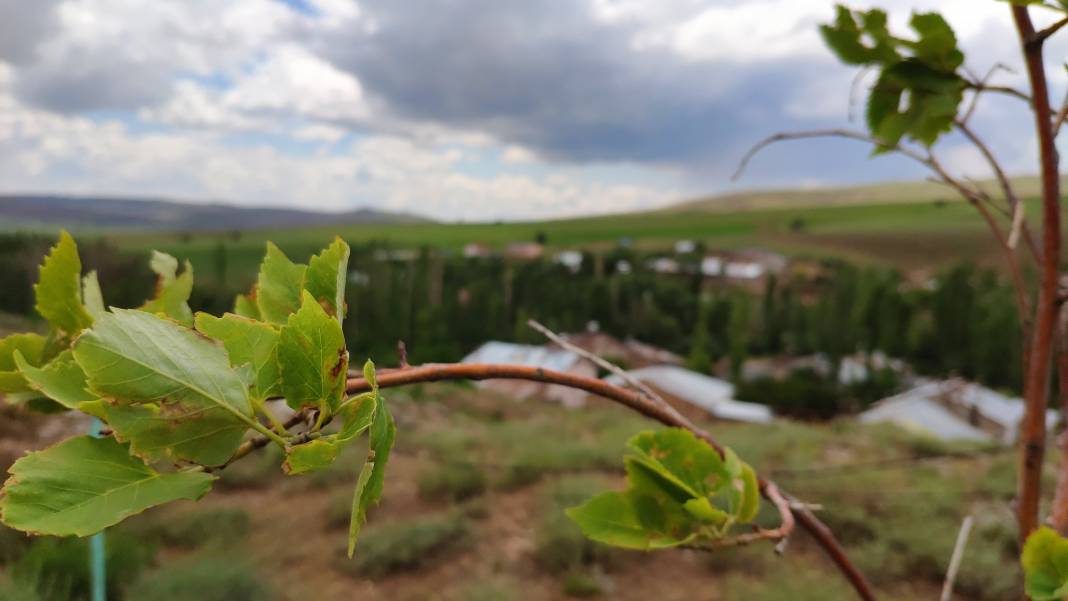 Sivas Dedeli Köyü Resimleri 7