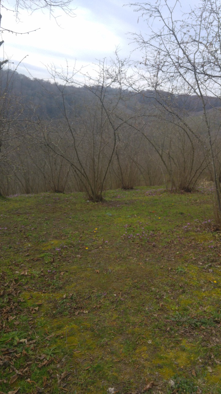 Karasu Tuzla Köyü Resimleri 5