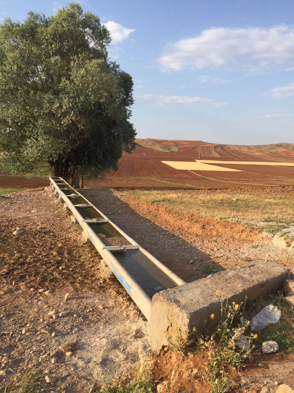 Sivas Durdulu Köyü Resimleri 2