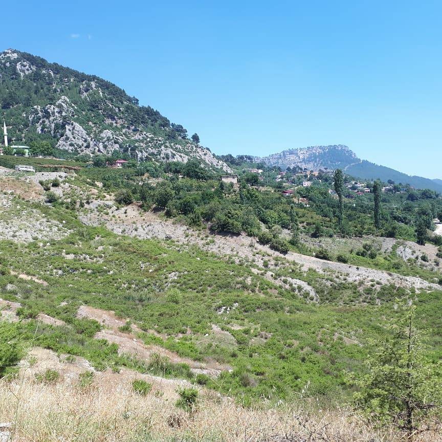 Mezitli Tol Köyü Resimleri 12