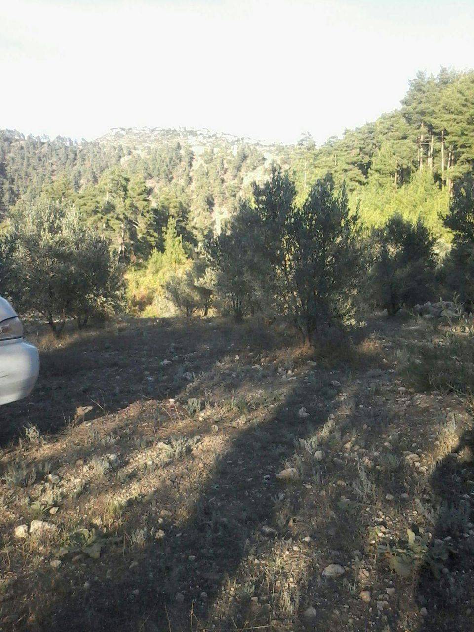 Mezitli Tol Köyü Resimleri 3