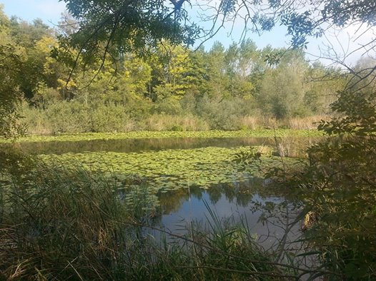 Karasu Limandere Köyü Resimleri 10