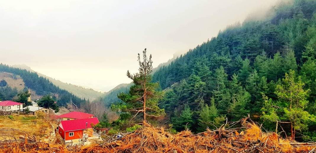 Mezitli Yeni Köyü Resimleri 7