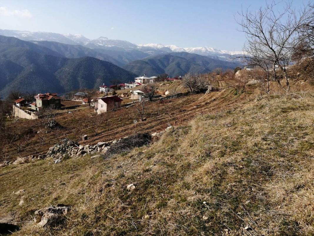 Toroslar Alanyalı Köyü Resimleri 6