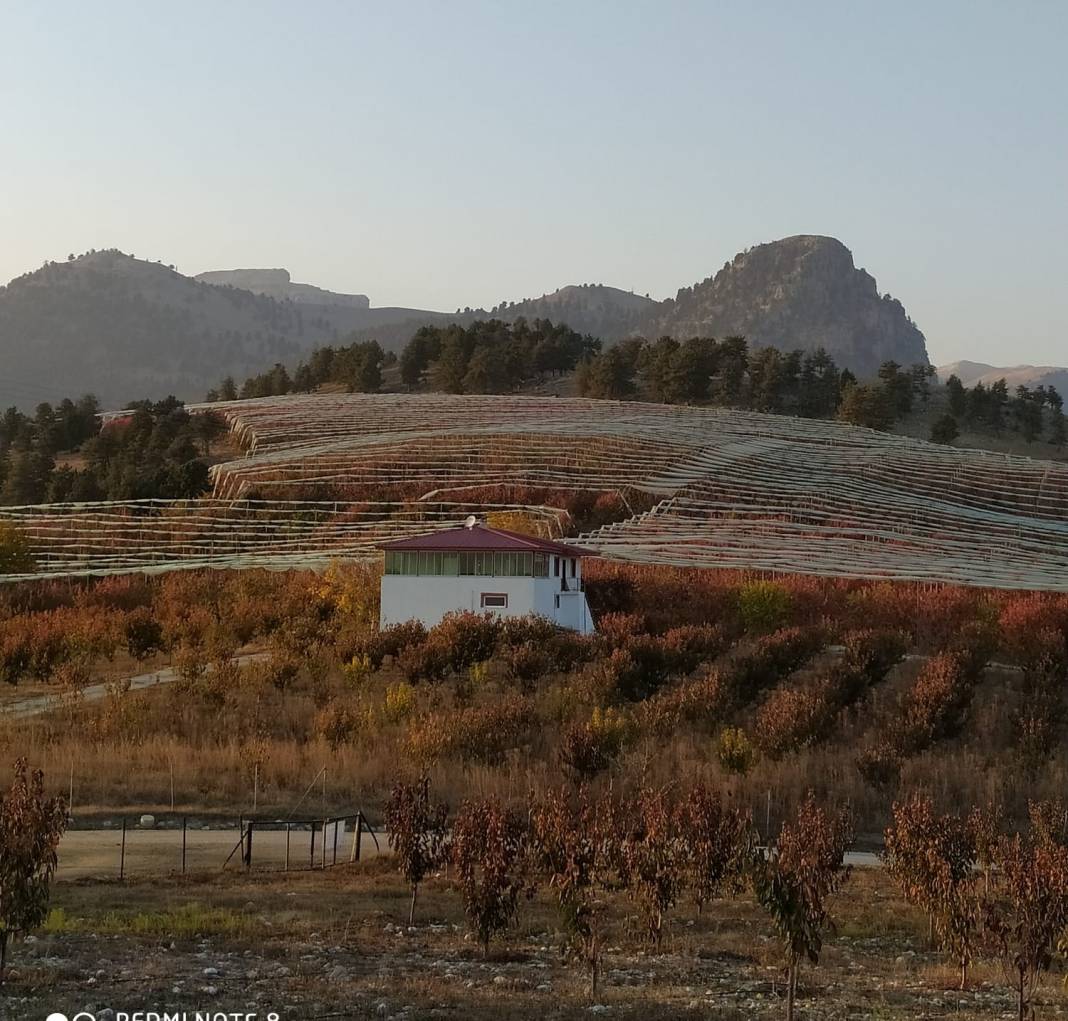 Toroslar Alsancak Köyü Resimleri 11