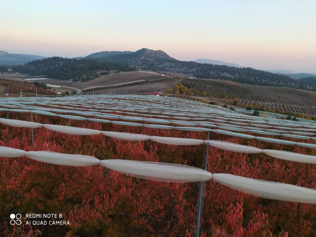 Toroslar Alsancak Köyü Resimleri 9