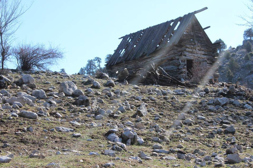 Toroslar Arpaçsakarlar Köyü Resimleri 2