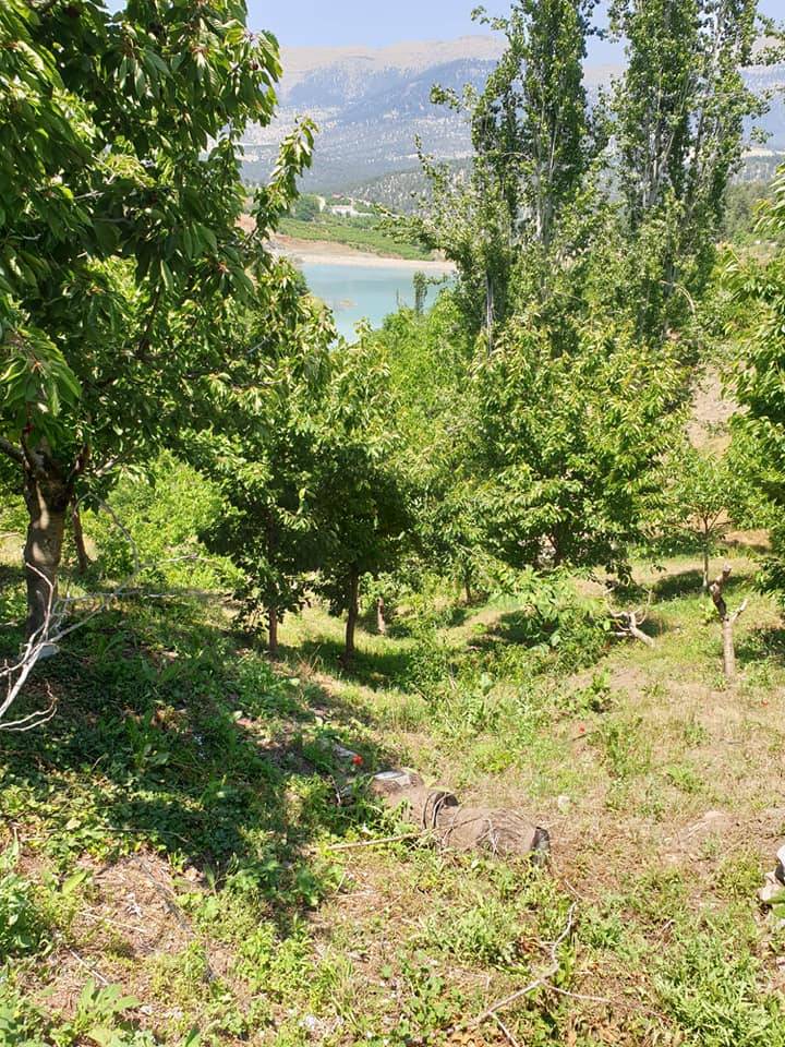 Toroslar Arslanköy Köyü Resimleri 7