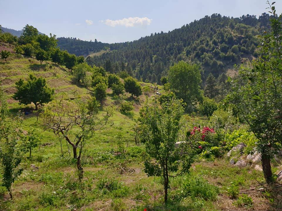 Toroslar Arslanköy Köyü Resimleri 8