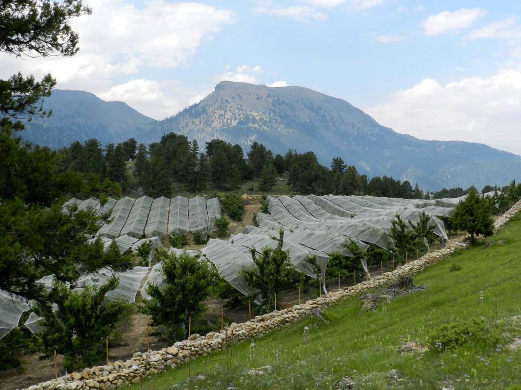 Toroslar Atlılar Köyü Resimleri 6