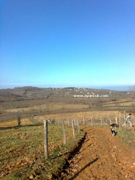 Karasu Üçoluk Köyü Resimleri 3