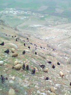 Eruh Kaşıkyayla Köyü Resimleri 3