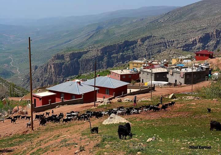 Eruh Kuşdalı Köyü Resimleri 9