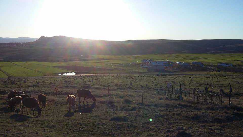 Sivas Eskiapardı Köyü Resimleri 1