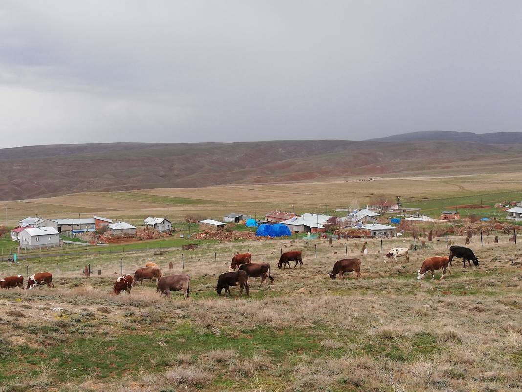 Sivas Eskiapardı Köyü Resimleri 6