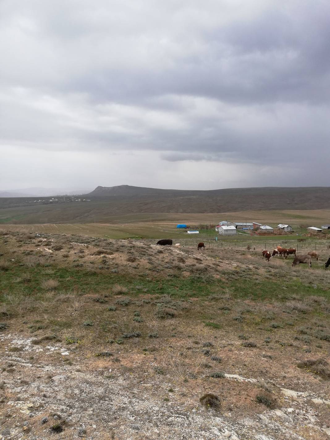 Sivas Eskiapardı Köyü Resimleri 7