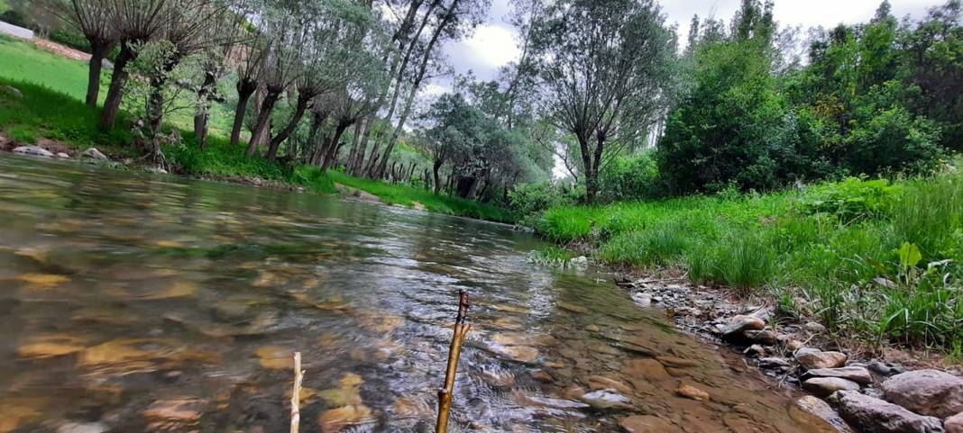 Sivas Gaziköy Köyü Resimleri 4