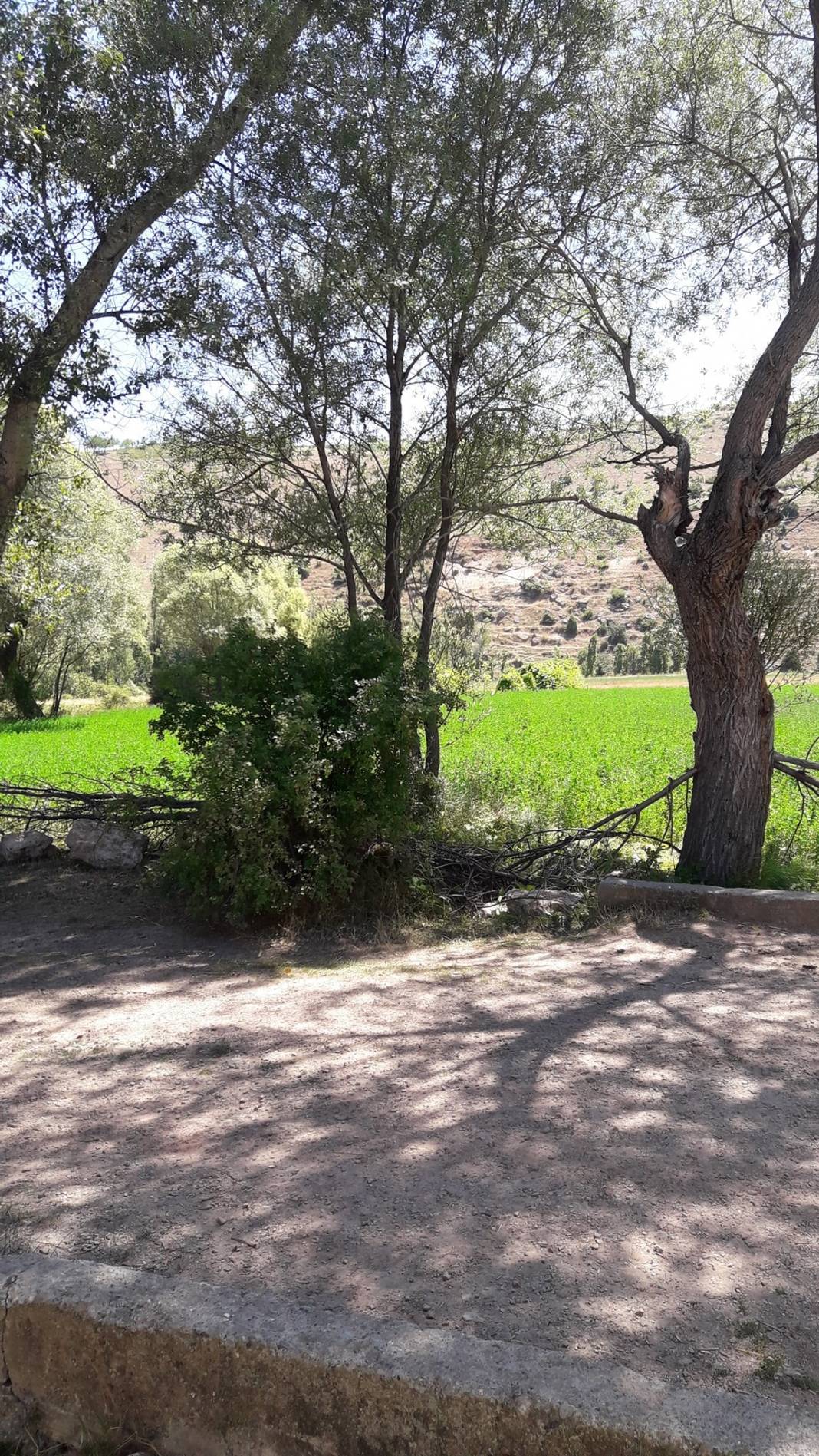 Sivas Gaziköy Köyü Resimleri 7