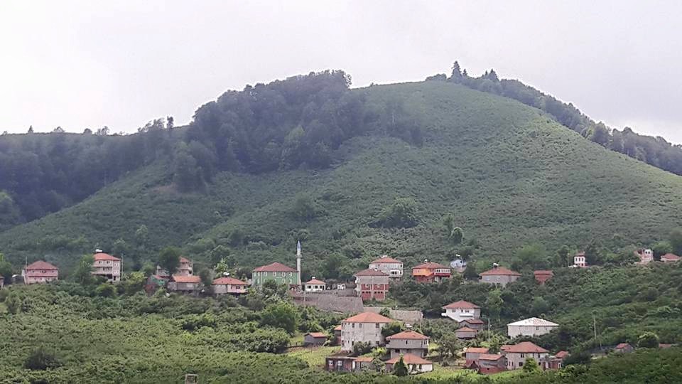 Karasu Yeşilköy Köyü Resimleri 12
