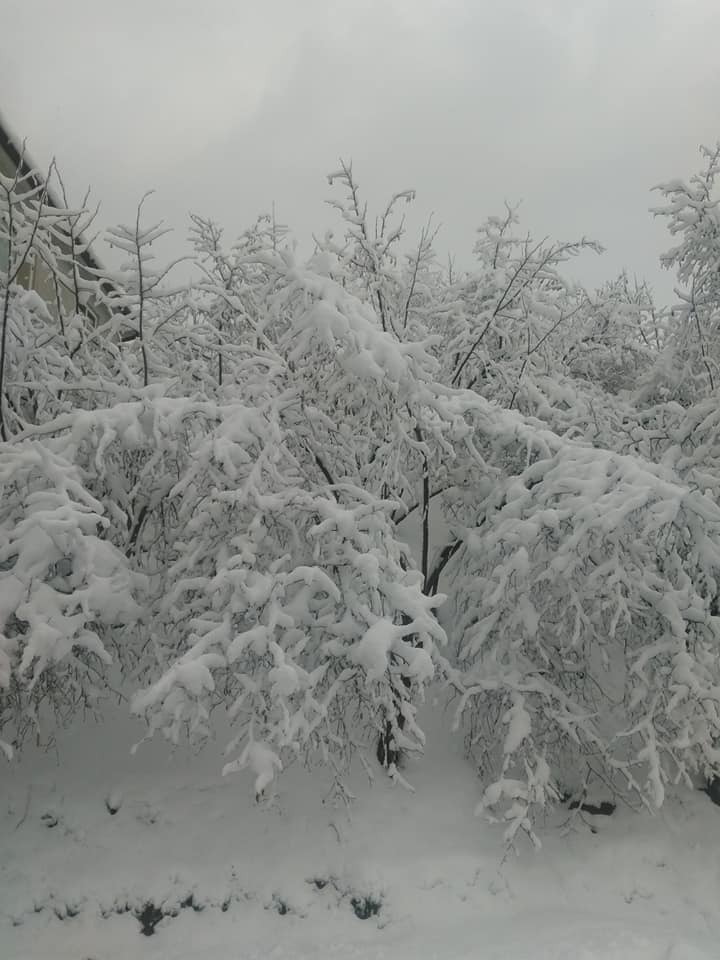 Karasu Yeşilköy Köyü Resimleri 3