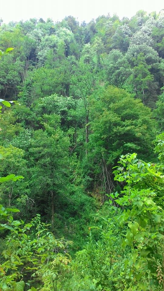 Karasu Yeşilköy Köyü Resimleri 9