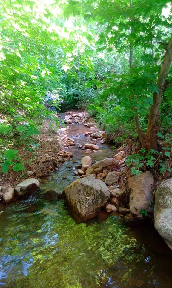 Kurtalan Ağaçlıpınar Köyü Resimleri 1