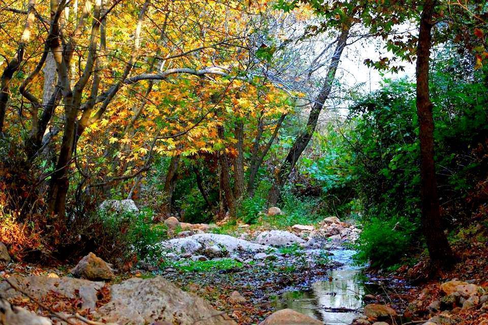 Kurtalan Ağaçlıpınar Köyü Resimleri 5