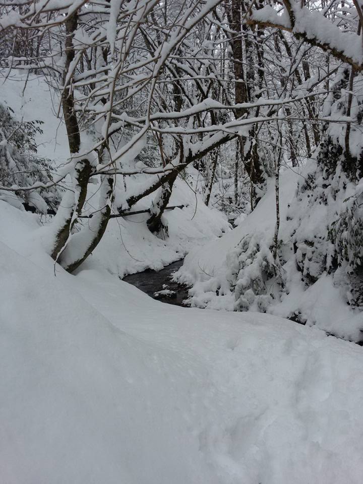 Karasu Yenidoğan Köyü Resimleri 1