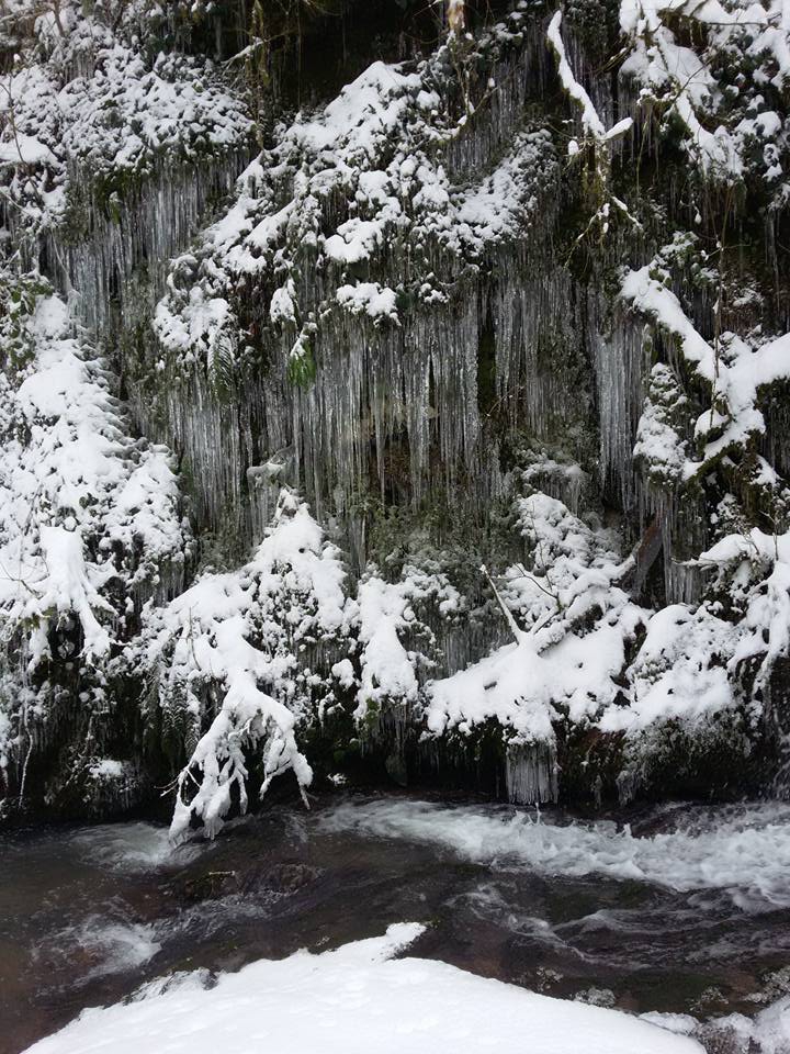 Karasu Yenidoğan Köyü Resimleri 10