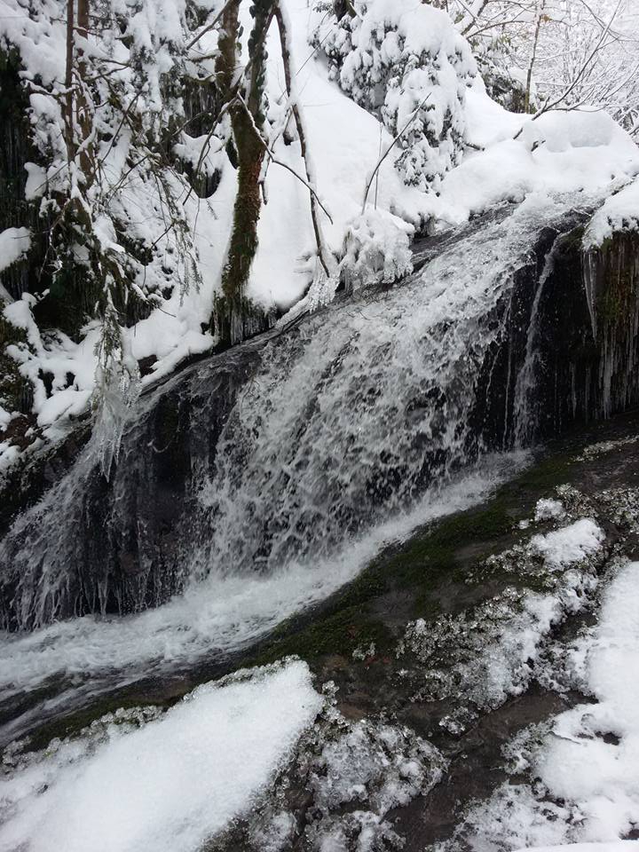 Karasu Yenidoğan Köyü Resimleri 11