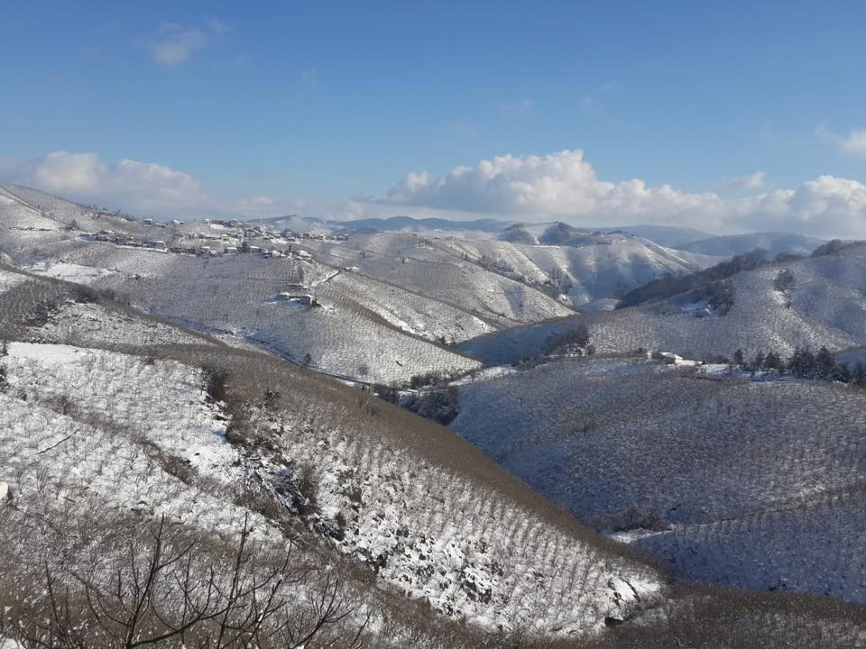 Karasu Yenidoğan Köyü Resimleri 5