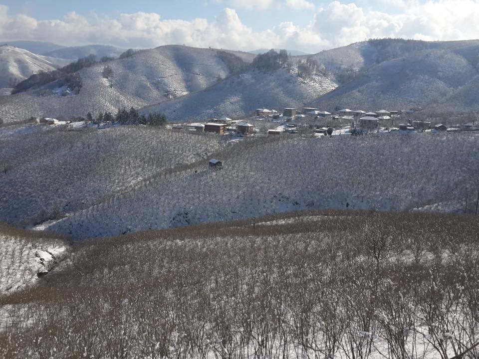 Karasu Yenidoğan Köyü Resimleri 8