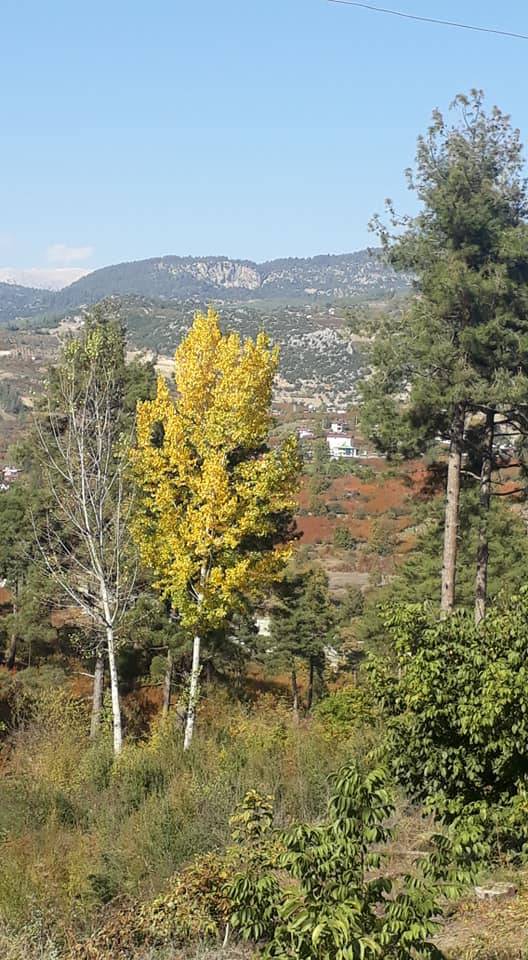 Toroslar Buluklu Köyü Resimleri 7