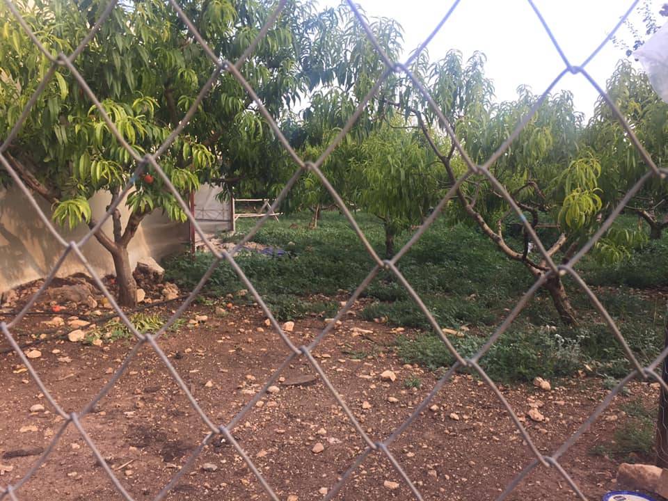 Toroslar Çamlıdere Köyü Resimleri 1