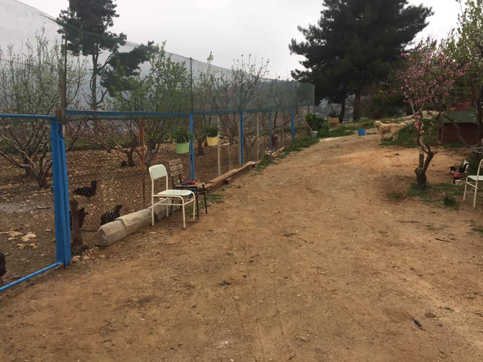 Toroslar Çamlıdere Köyü Resimleri 6