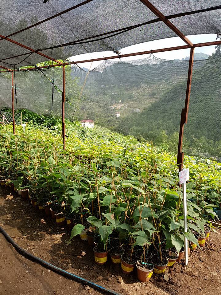 Toroslar Çavuşlu Köyü Resimleri 6