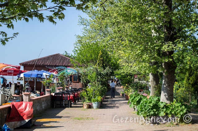 Karasu Yenimahalle Köyü Resimleri 4