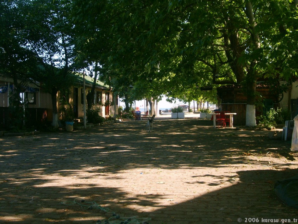 Karasu Yenimahalle Köyü Resimleri 5