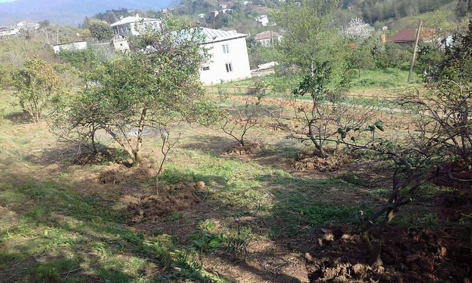 Toroslar Darısekisi Köyü Resimleri 6