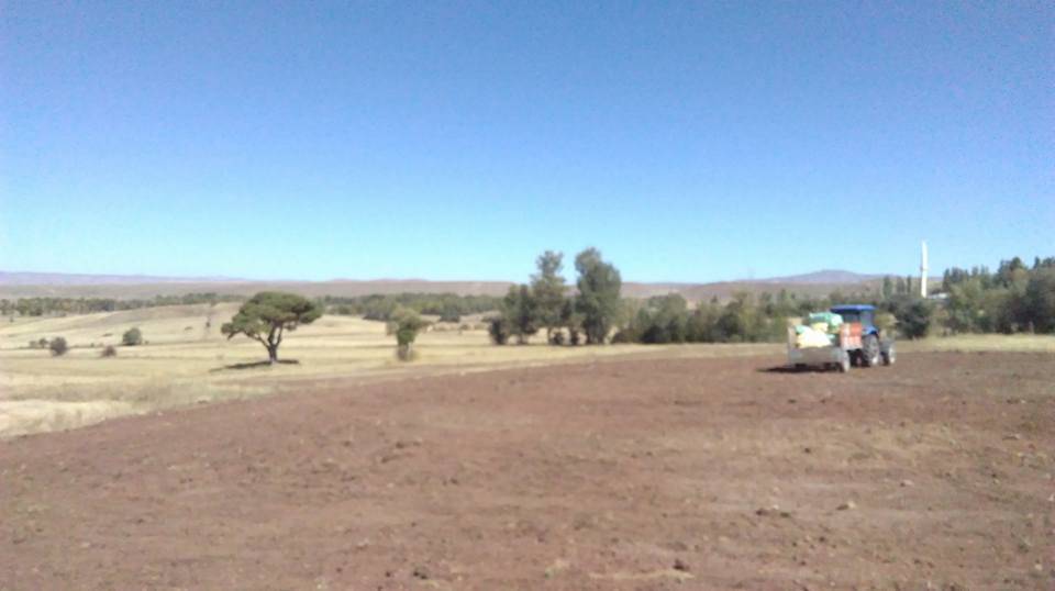 Sivas Gözeli Köyü Resimleri 6