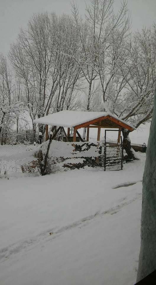 Sivas Güllük Köyü Resimleri 7