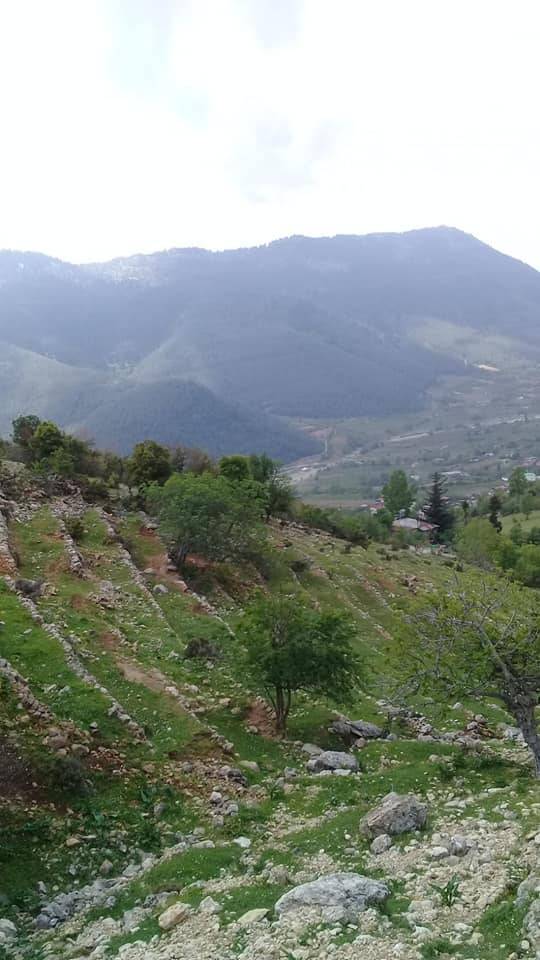 Toroslar Gözne Köyü Resimleri 8