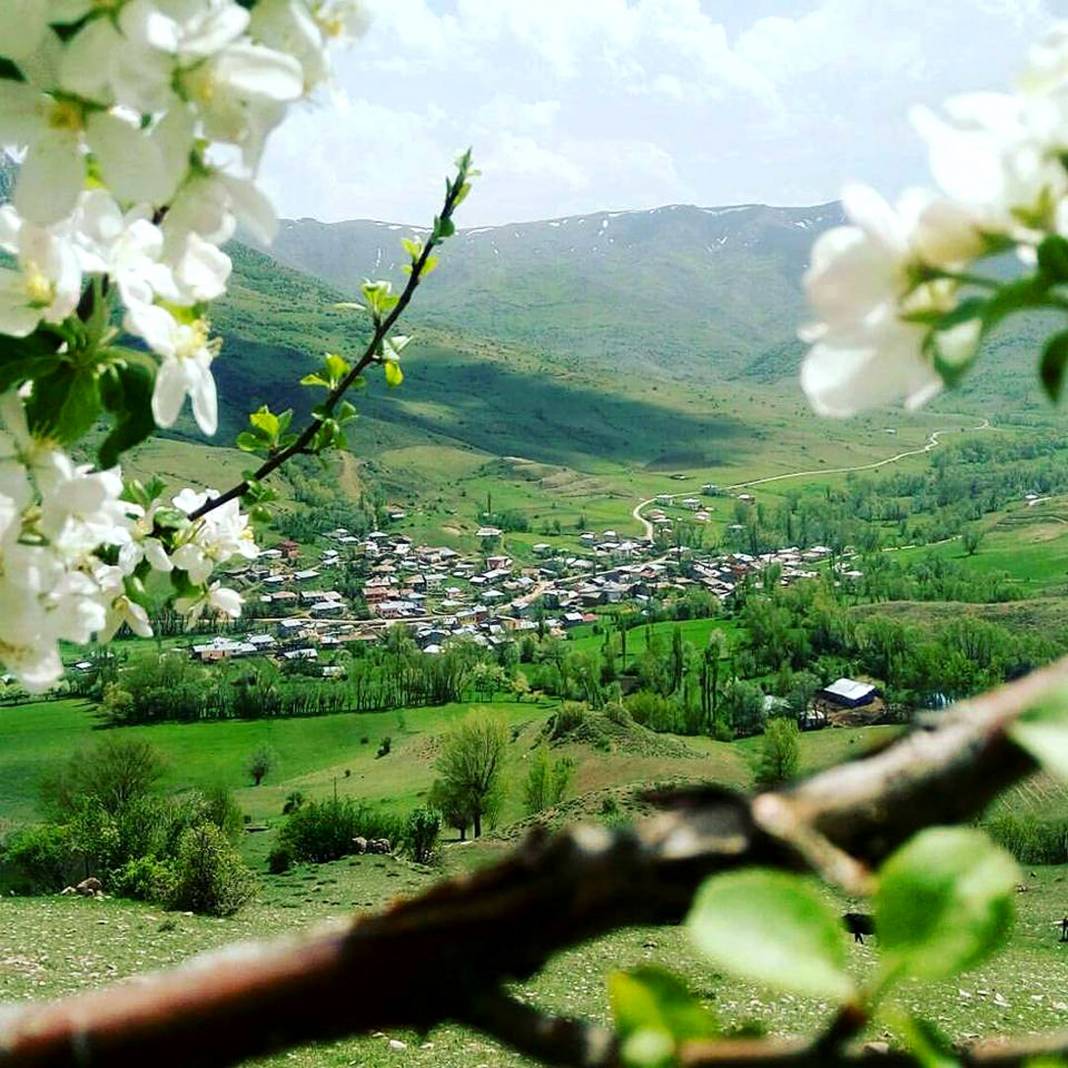 Sivas Gülpınar Köyü Resimleri 13