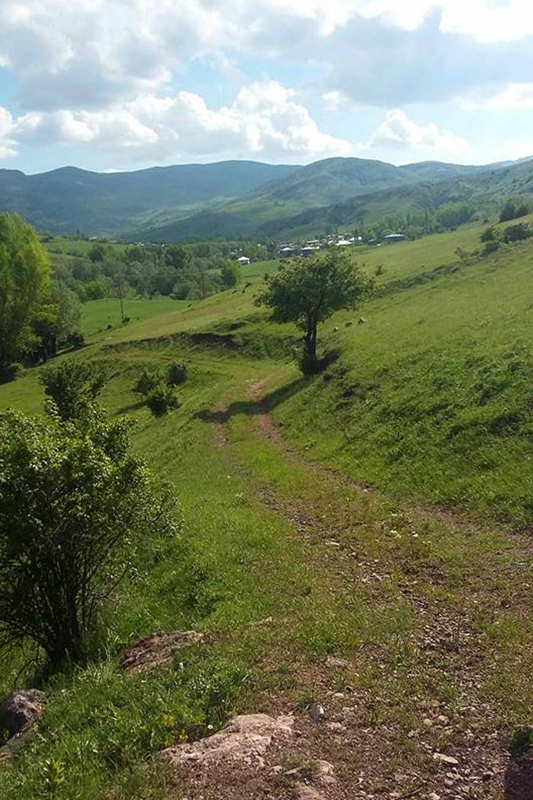 Sivas Gülpınar Köyü Resimleri 19