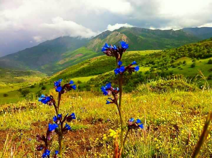 Sivas Gülpınar Köyü Resimleri 7