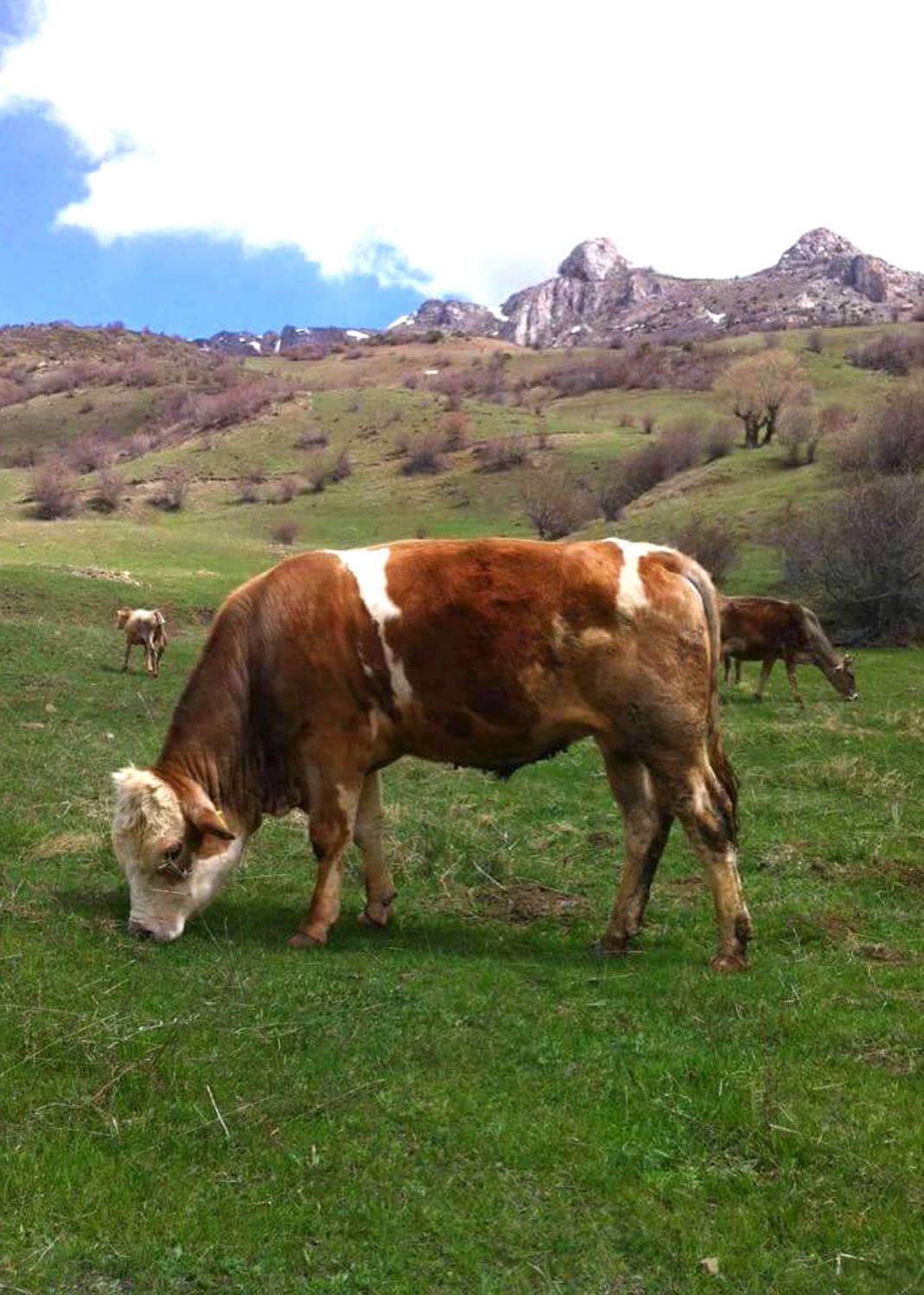 Sivas Gülpınar Köyü Resimleri 9