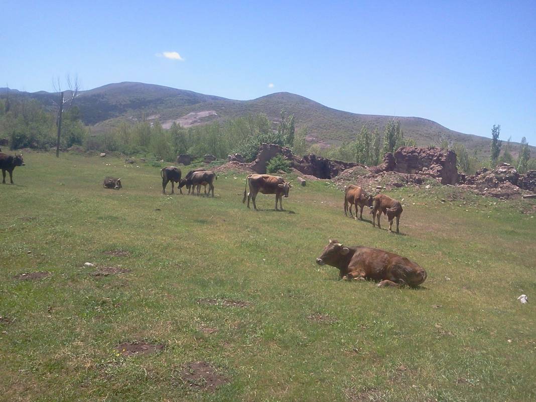 Sivas Günece Köyü Resimleri 9