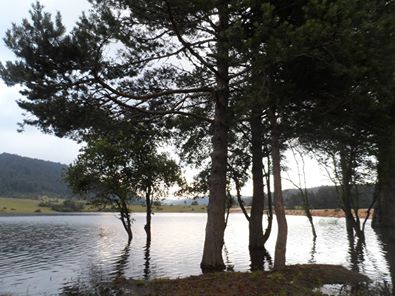 Taraklı Alballar Köyü Resimleri 10