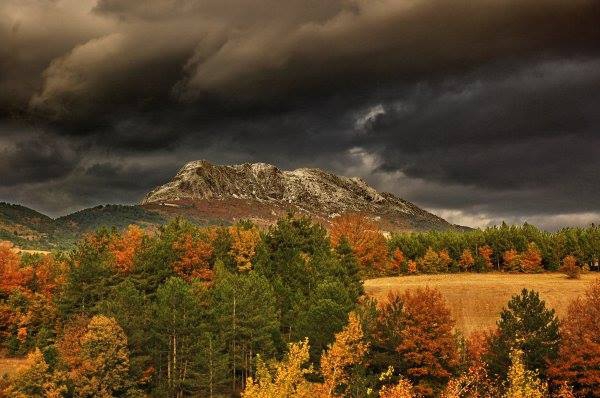 Taraklı Alballar Köyü Resimleri 12