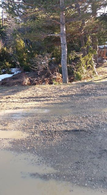 Taraklı Alballar Köyü Resimleri 13